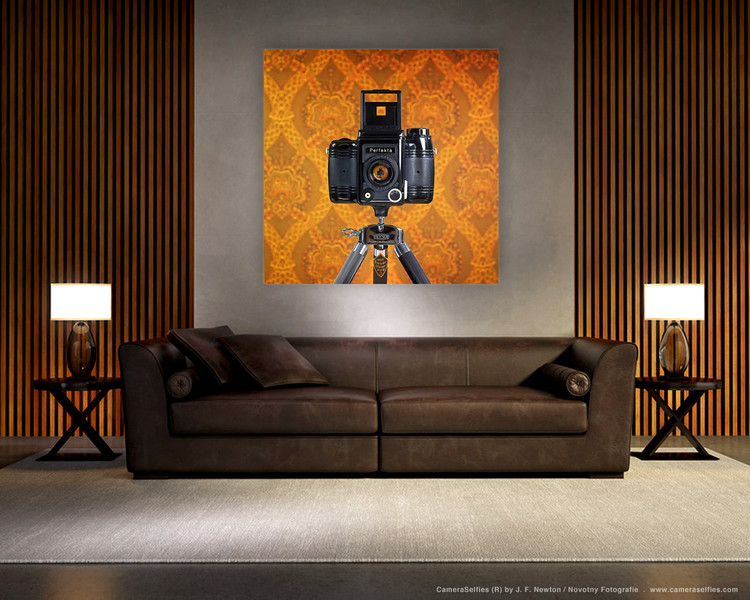 CameraSelfie #5 by J. Flynn Newton in a living room